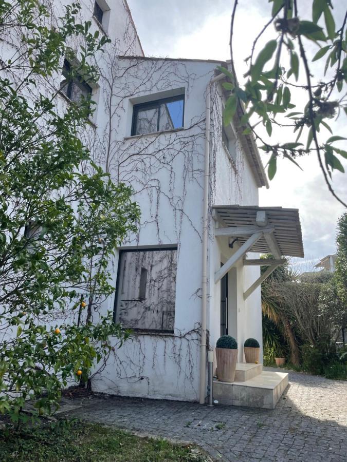 Sublime Haut De Villa Apercu Mer /Hippodrome / Cagnes-sur-Mer Exterior foto